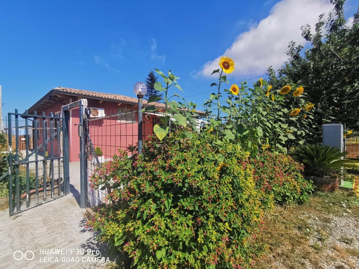 Bed And Breakfast "Anna" Bagnara Calabra Ngoại thất bức ảnh